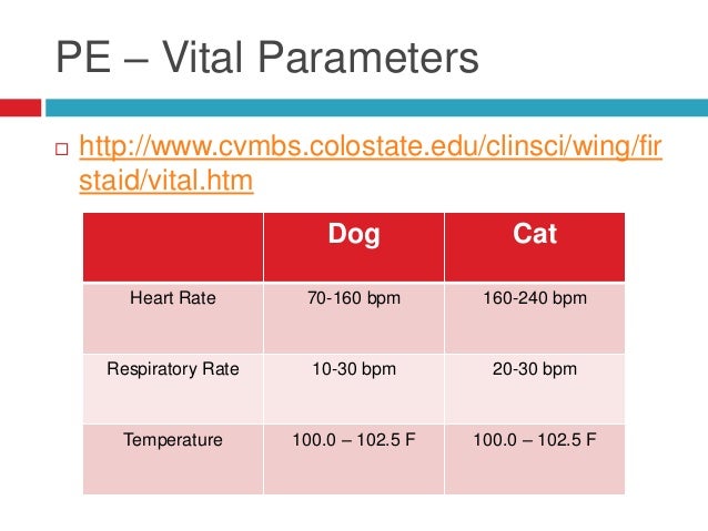 normal respiratory rate for dogs normal respiratory rate for dogs